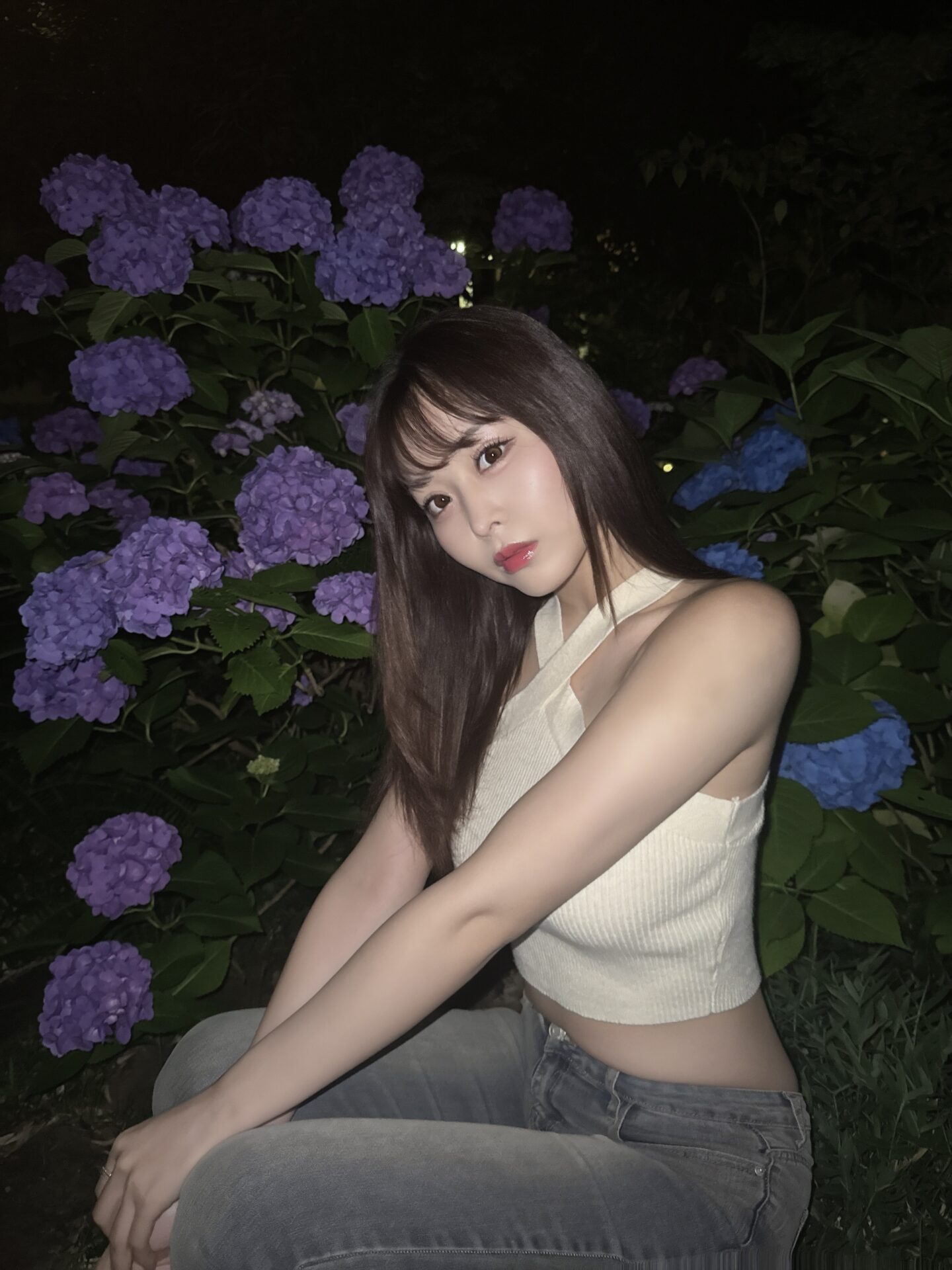 夜の紫陽花🌃💠🪻