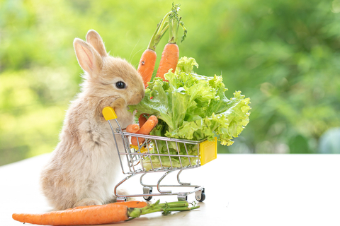 寂しくさせないでね🐰